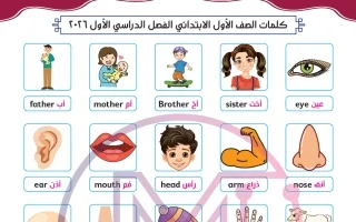 كلمات لغة انجليزية