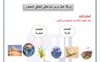 ورق عمل الوحدة الثالثة تربية اسلامية