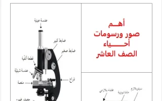 أهم صور ورسومات أحياء