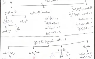 بلاغة اللغة العربية