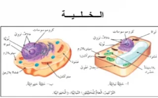 تقرير الخلية أحياء