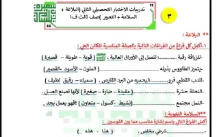 تدريبات الاختبار التحصيلي الثاني لغة عربية