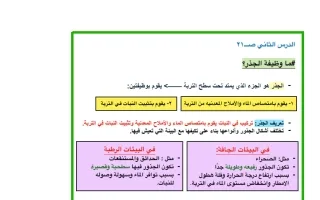 تلخيص درس ما وظيفة الجذر علوم