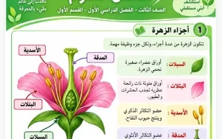 تلخيص علوم