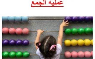 تقرير عملية الجمع رياضيات