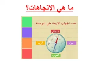 تقرير ما هي الاتجاهات اجتماعيات