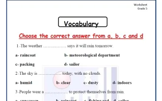 أوراق عمل اختبار القراءة لغة انجليزية