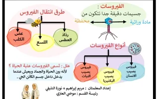 ملخصات علوم