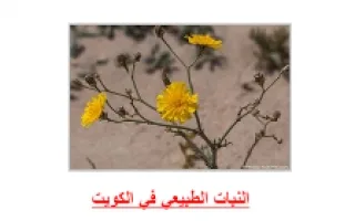 تقرير النبات الطبيعي في الكويت مادة الاجتماعيات