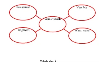 تقرير Whale shark لغة إنجليزية