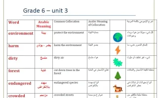 تدريبات الوحدة الثالثة Our Environment, Our Choi
