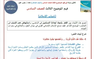 فهم شباب الاسلام لغة عربية