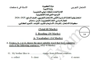 اختبار تجريبي نهائي لغة انجليزية