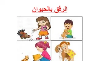 تقريرالرفق بالحيوان تربية إسلامية