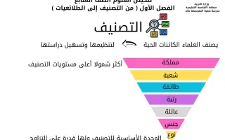 تلخيص الفصل الأول (من التصنيف إلى الطلائعيات) عل
