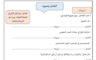 تدريبات الفاعل وصوره لغة عربية