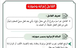 شرح الفاعل وتدريباته لغة عربية