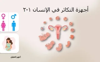 مذكرة درس أجهزة التكاثر في الإنسان علوم