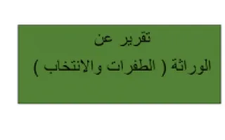 تقرير علوم