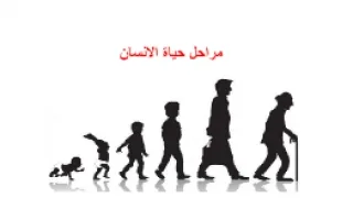 تقرير علوم مراحل حياة الانسان1